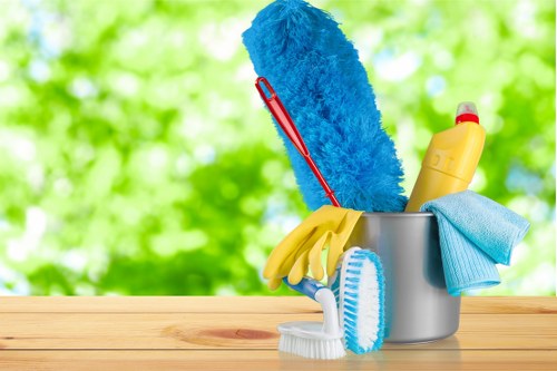 House cleaning essentials for a clean and healthy home