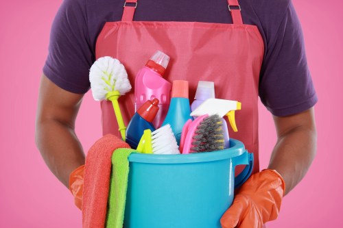 Cleaning tools and products used for house cleaning tasks