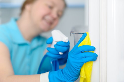 Professional window cleaning improving exterior brightness