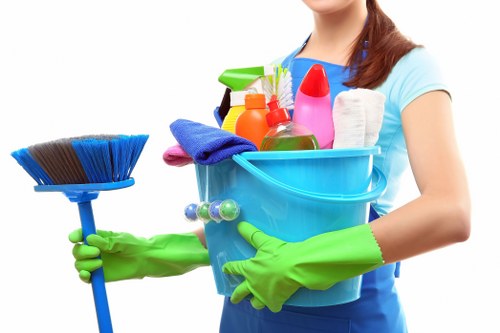 Professional carpet cleaning in a modern living room