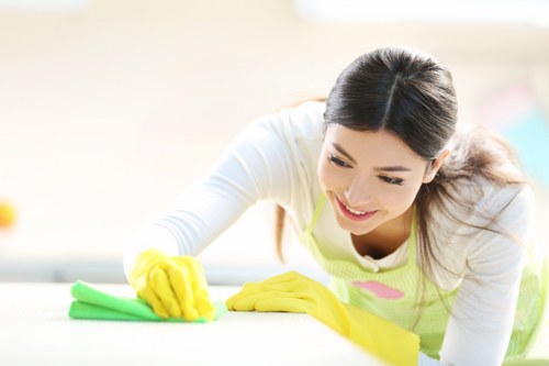 Baking soda paste applied for oven cleaning