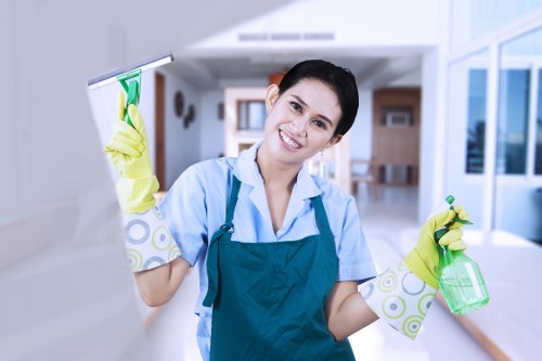 Regular cleaning supplies arranged for household maintenance
